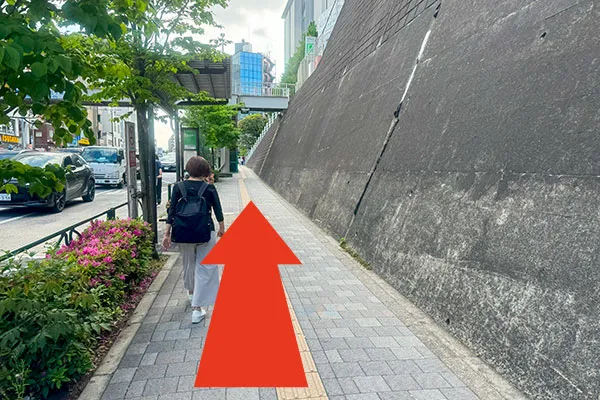 道灌山通りの歩道の画像